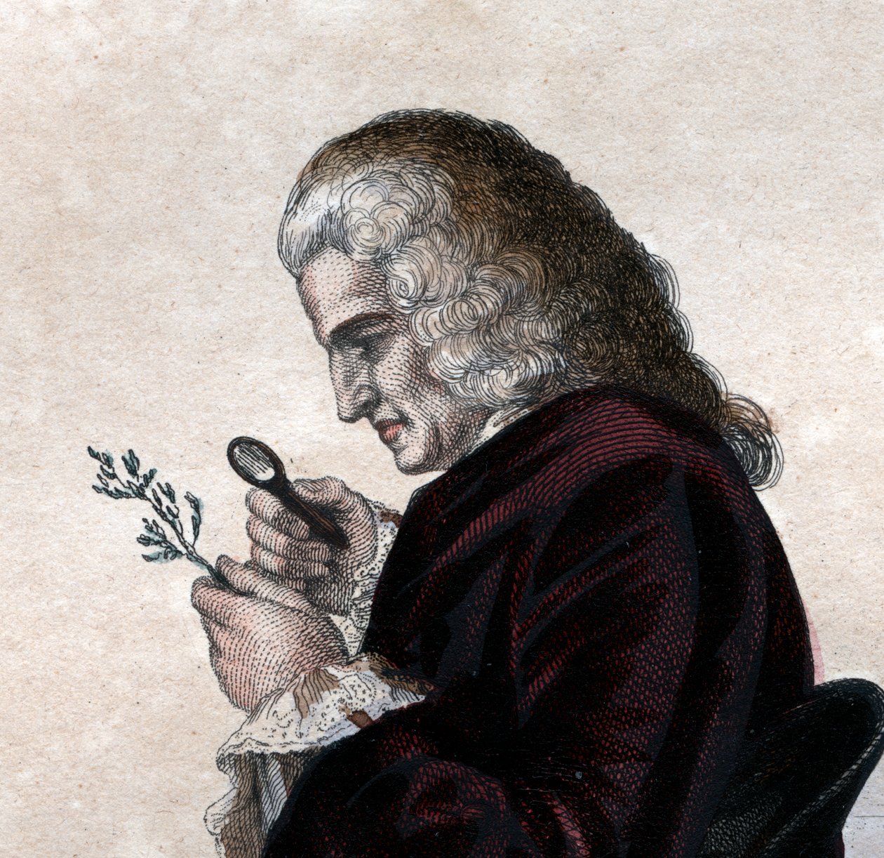 Porträt von Bernard de Jussieu (1699-1777), französischer Naturforscher von French School