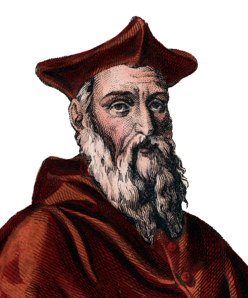 Porträt von Jean du Bellay von French School