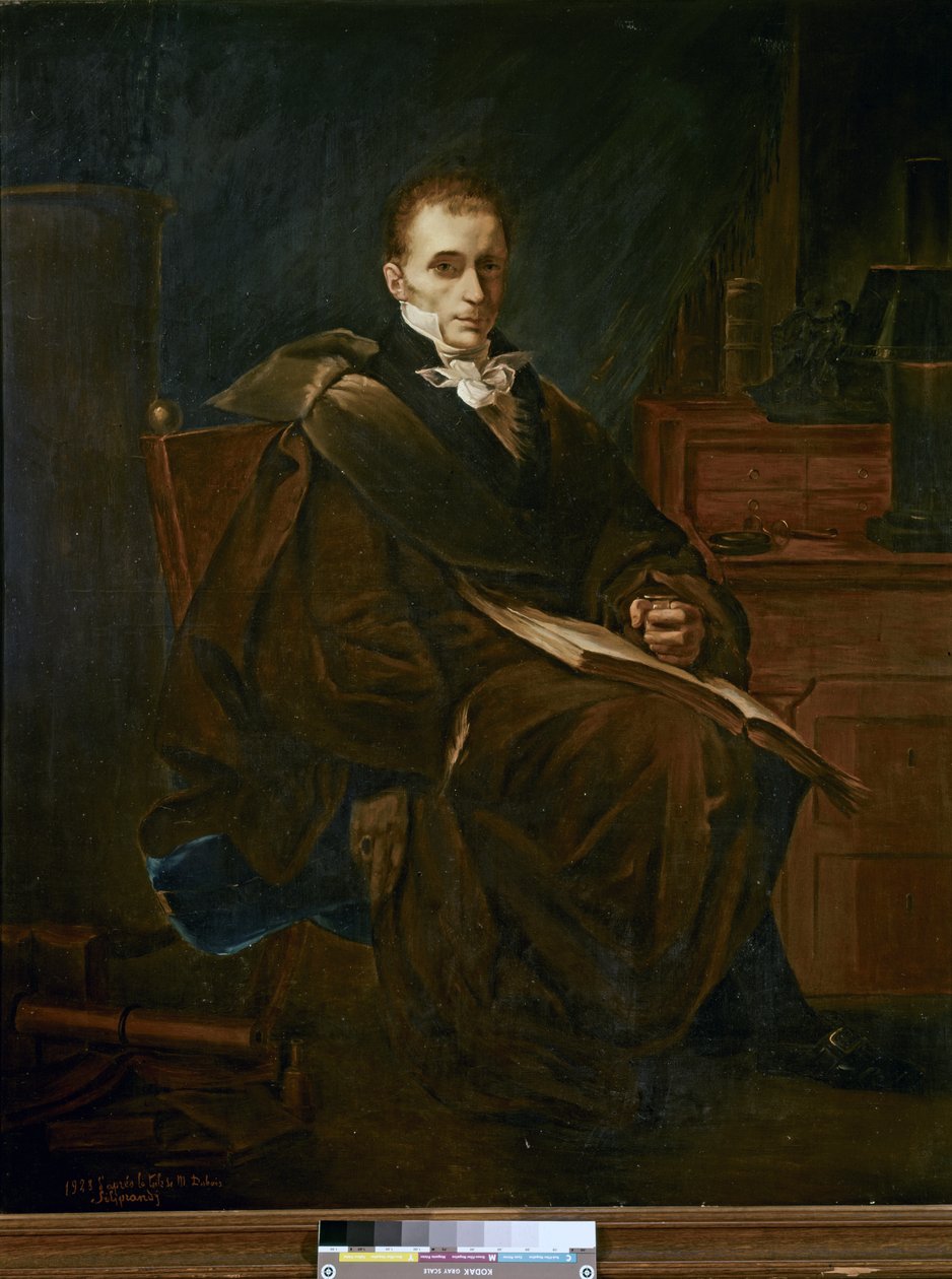 Porträt von René-Théophile-Hyacinthe Laennec von French School