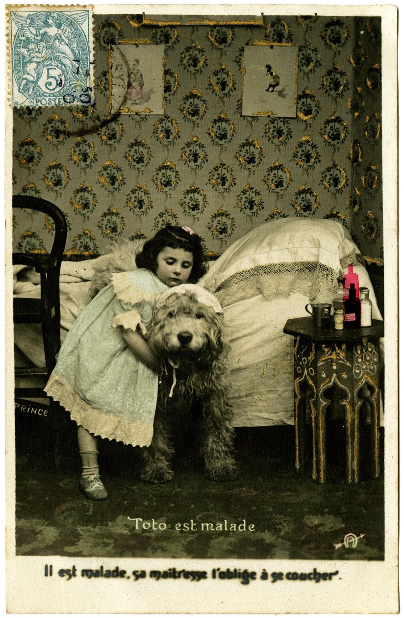 Postkarte: Toto ist krank, seine Herrin zwingt ihn ins Bett zu gehen, Prinz von French School