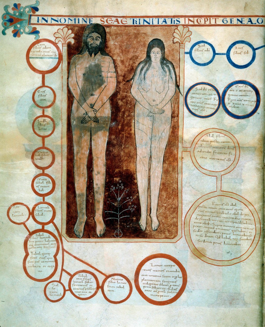 Darstellung von Adam und Eva, die roten Medaillons stellen die Linie von Kain dar, die durch die Sintflut zerstört wurde Miniatur, die die Kommentare zur „Apokalypse nach Johannes“ illustriert, geschrieben 775 von dem Mönch Beatus von Liebana von French School