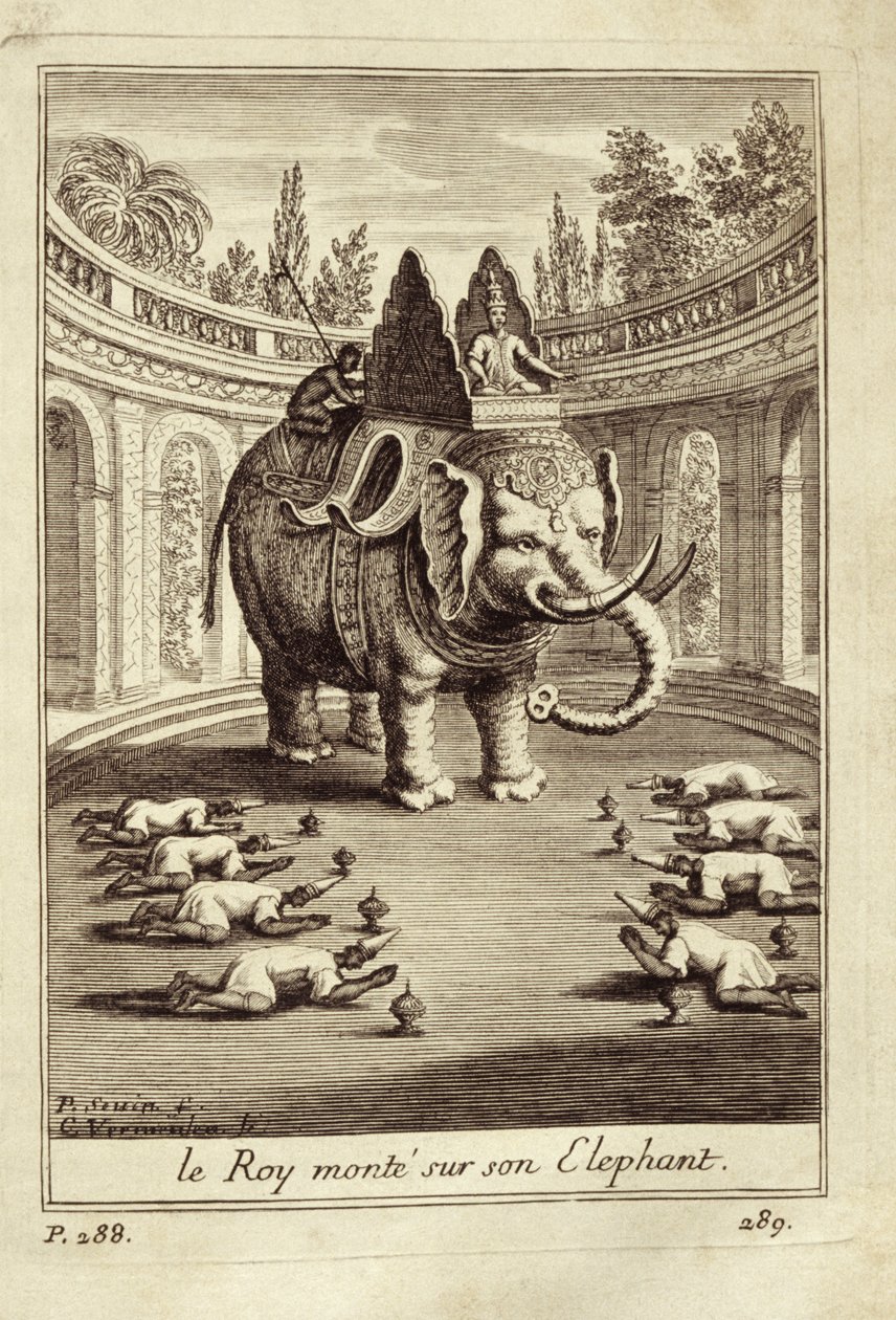 Königliche Elefanten, aus Voyage du Siam des Peres Jesuites von Guy Tachard, 1688 von French School