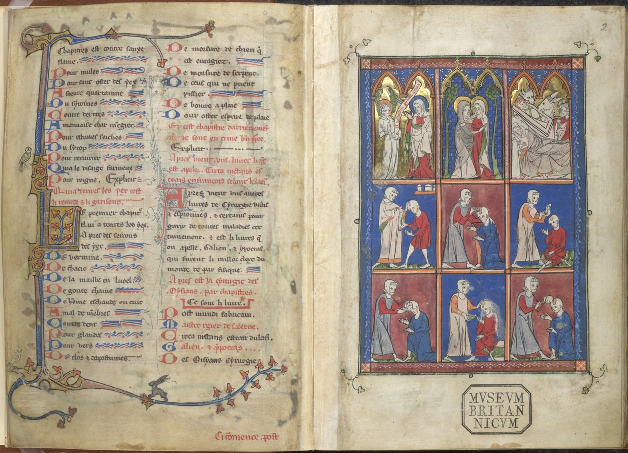 Die Chirurgia: Biblische und medizinische Szenen von French School