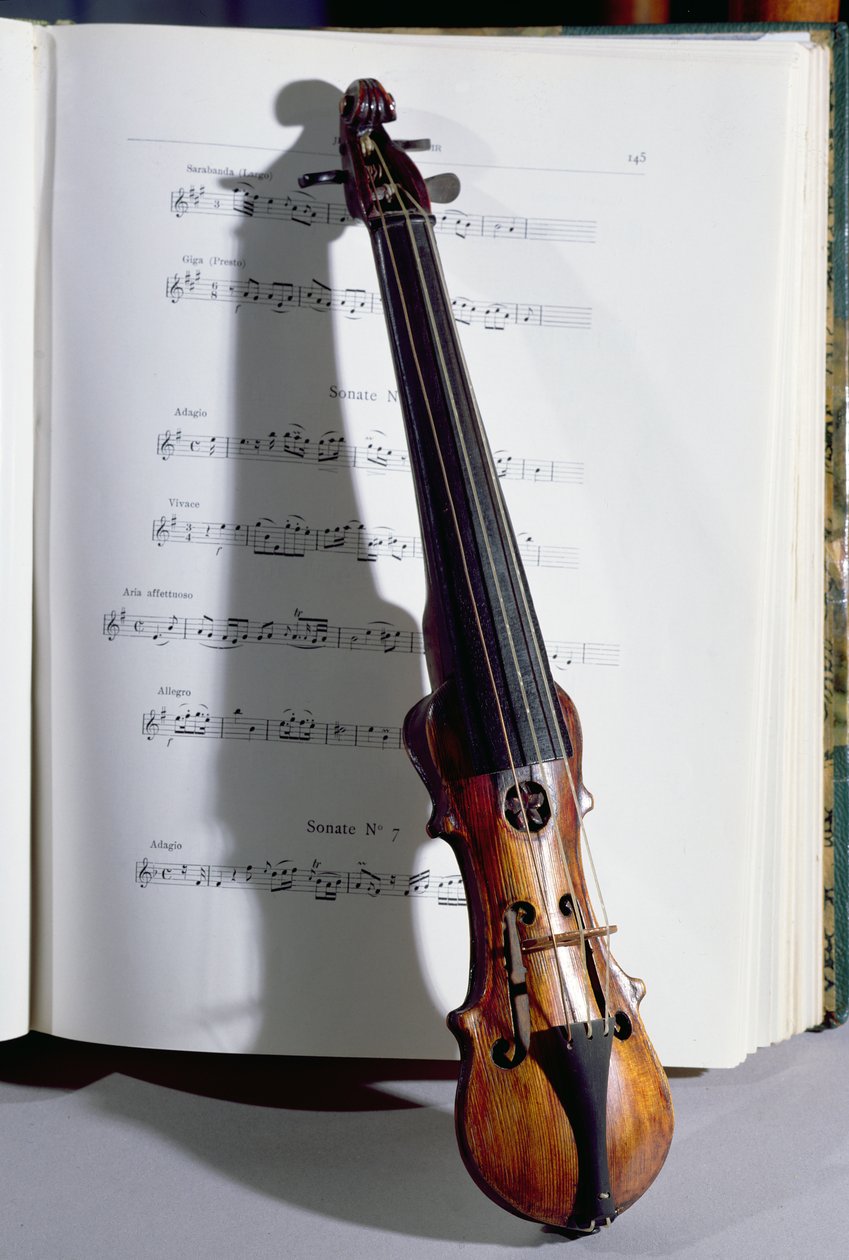 Saiteninstrument eines Tanzmeisters, 19. Jahrhundert (Holz) von French School
