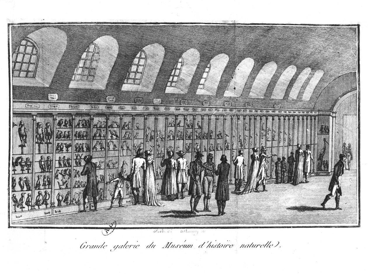 Die Große Galerie des Naturkundemuseums in Paris von French School