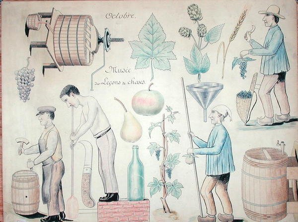 Der Monat Oktober: Weinproduktion von French School