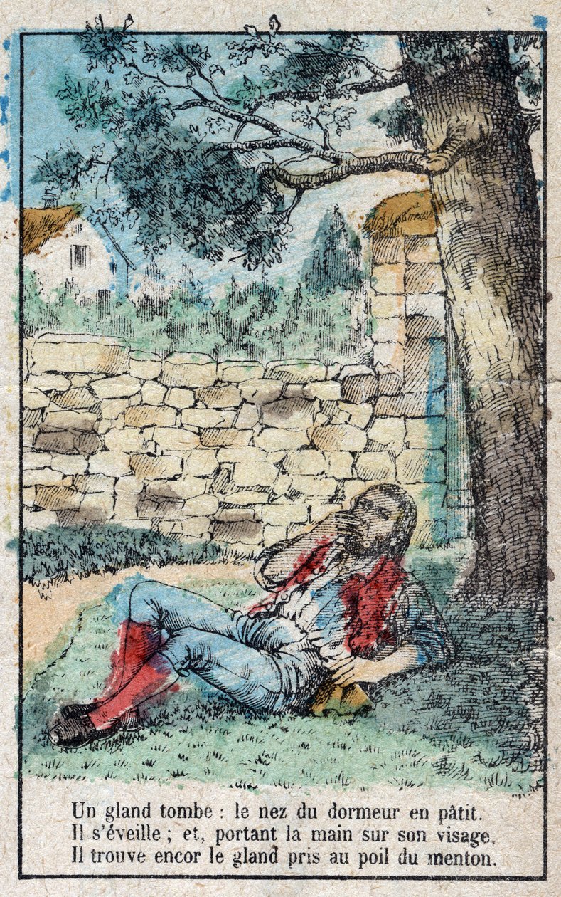 Die Eichel und der Kürbis. Fabeln von Jean de La Fontaine (1621-95). Epinal-Bild Ende des 19. Jahrhunderts. von French School