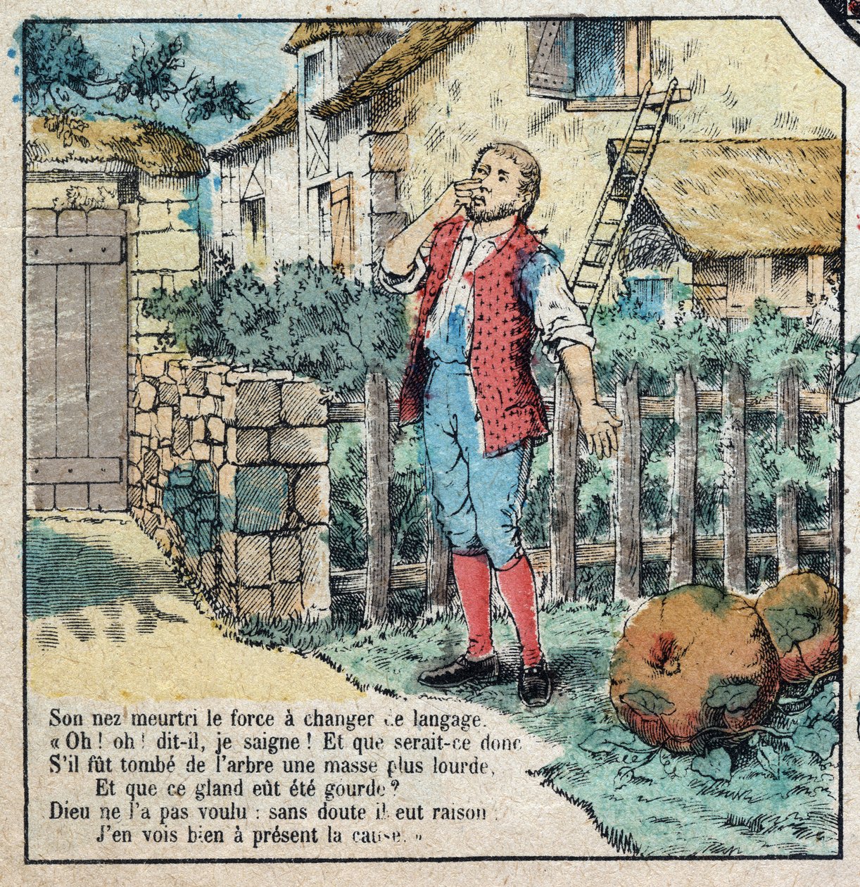 Die Eichel und der Kürbis. Fabeln von Jean de La Fontaine (1621-95). Epinal Imaging aus dem späten 19. Jahrhundert. von French School