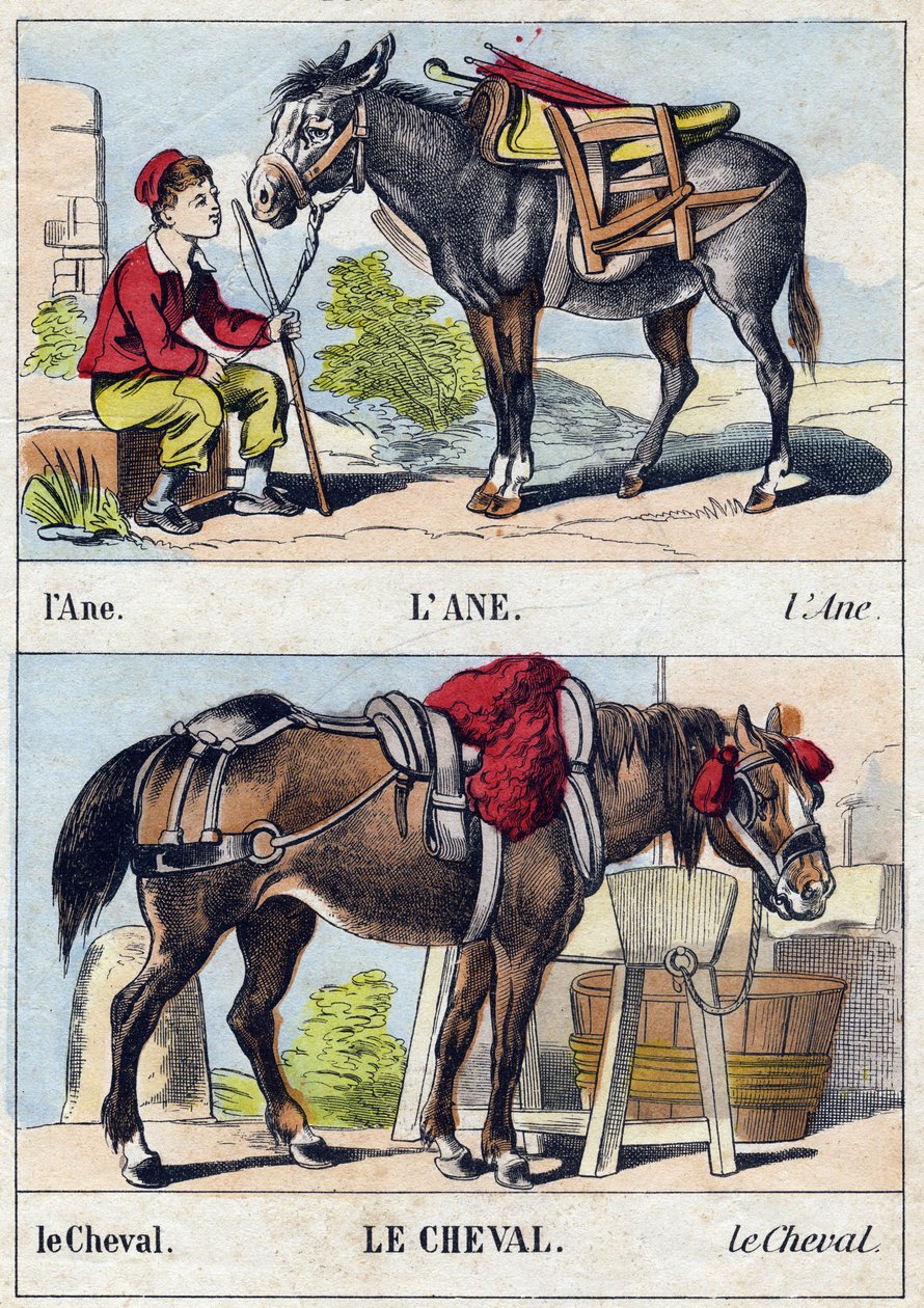 Der Esel und das Pferd. Gravur in "Buffon Alphabet des Animaux" von French School