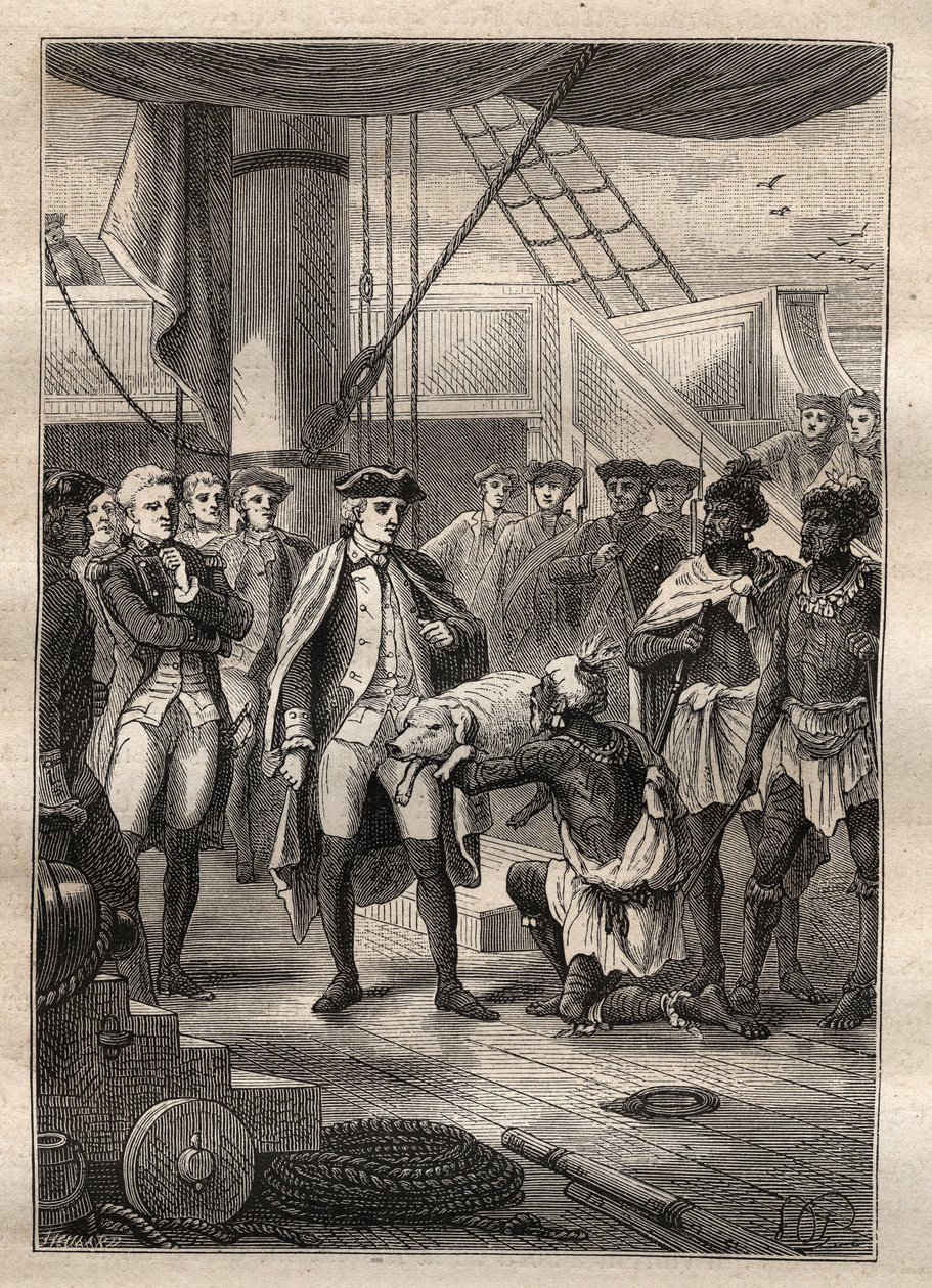 Dritte Reise von James Cook - Sie gaben ihm ein kleines Schwein - Illustration aus „Die großen Seefahrer des 18. Jahrhunderts“ von Jules Verne von French School