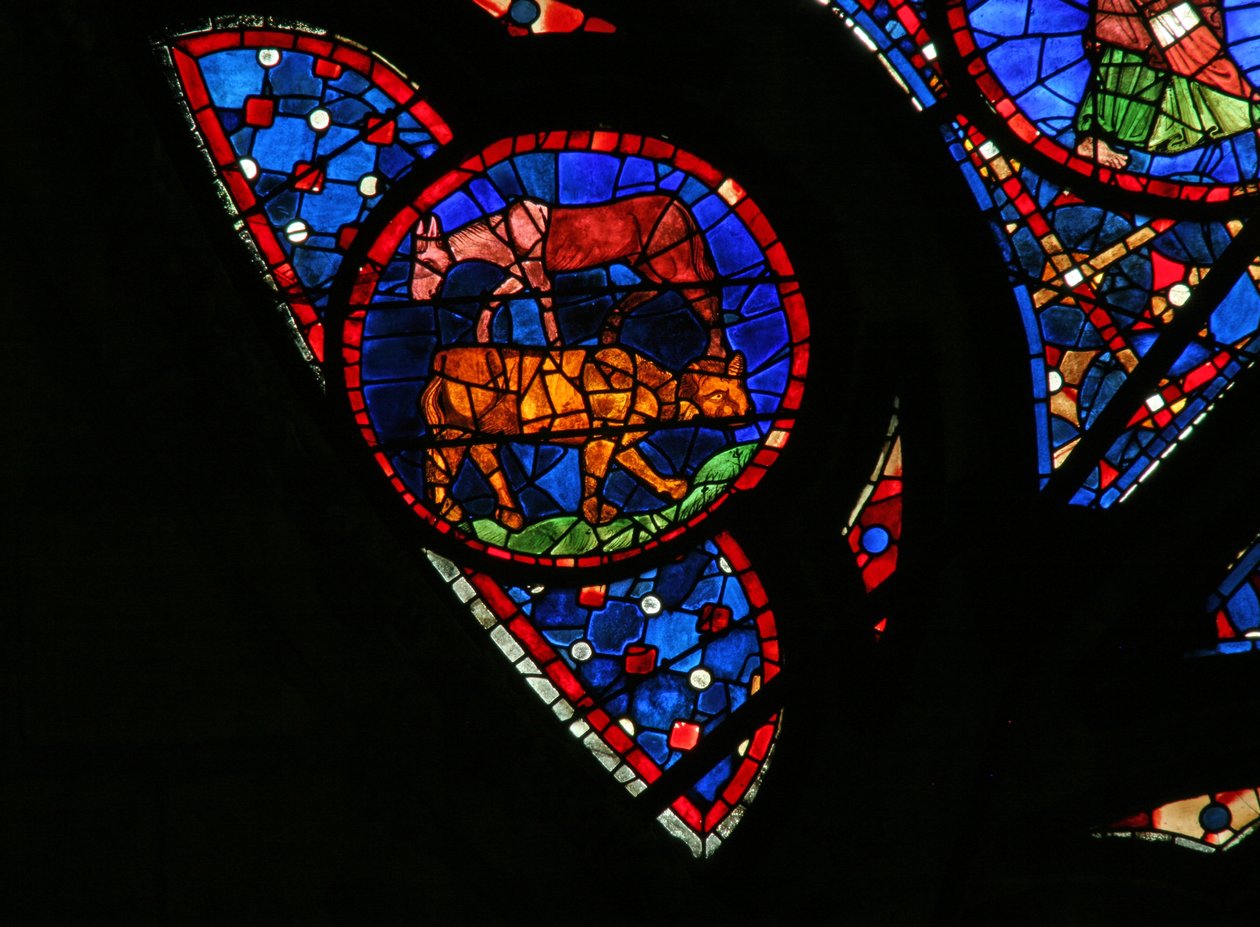 Fenster w115, die Erschaffung der Tiere darstellend von French School