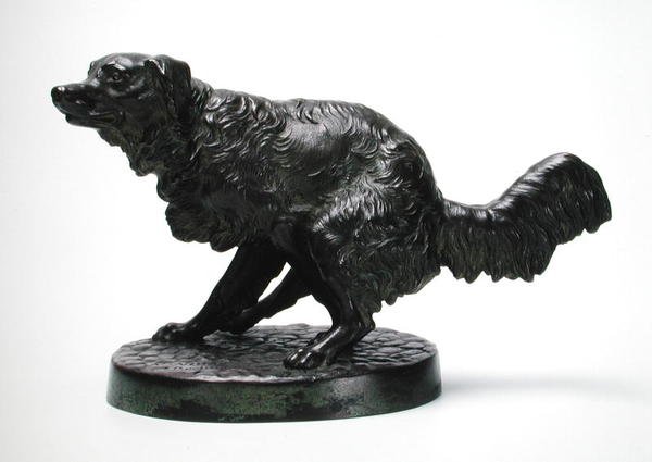 Langhaariger Jagdhund von Friedrich Wilhelm Wolff