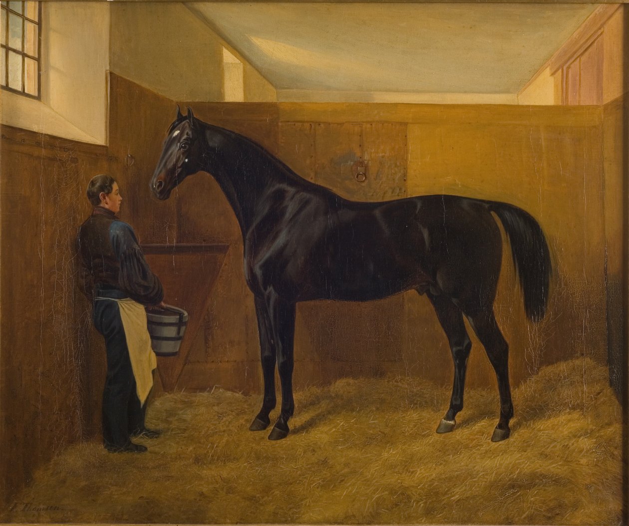 Zampa von Fritz Thomsen