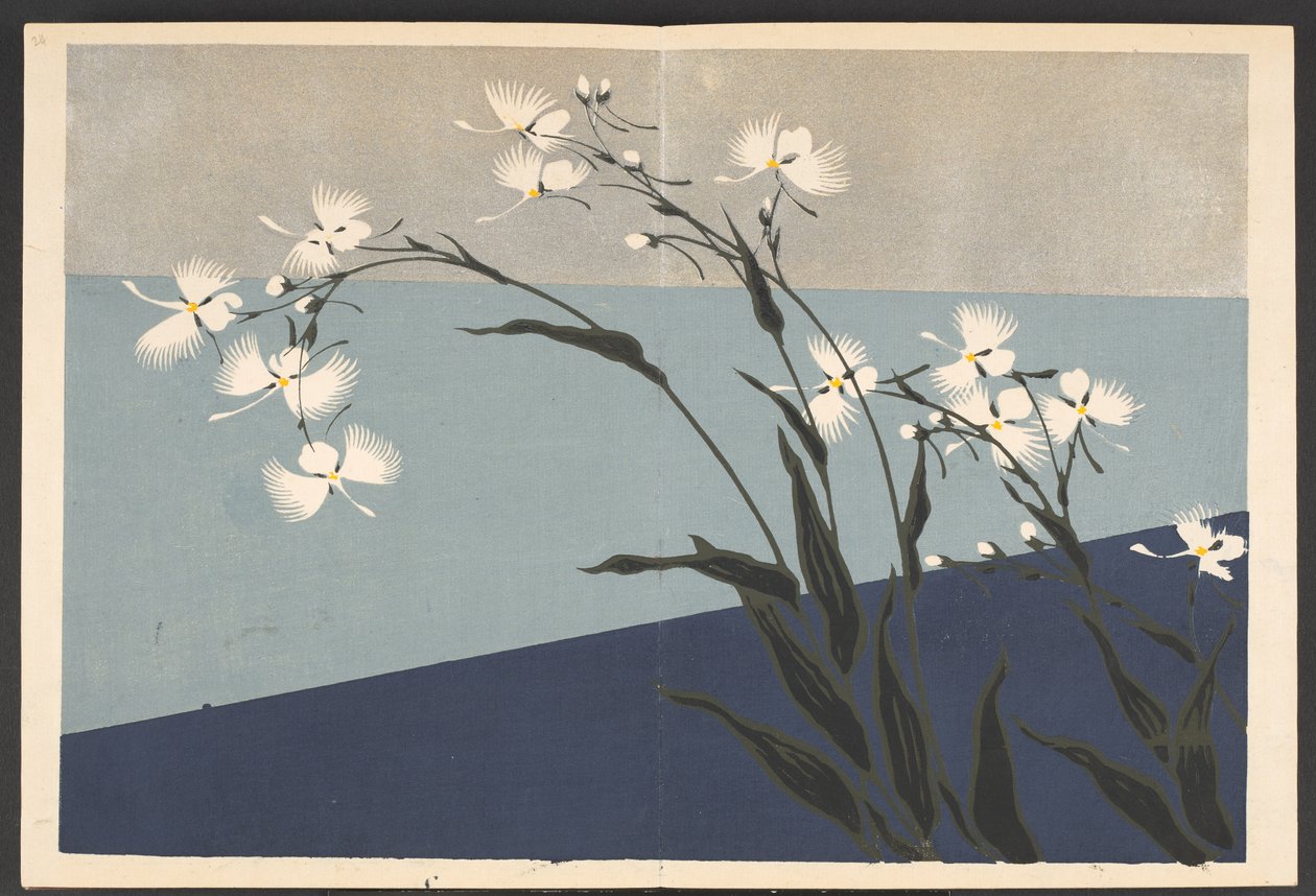Shasei sôka môyô, Muster von Pflanzen und Blumen aus dem Leben von Furuya Korin