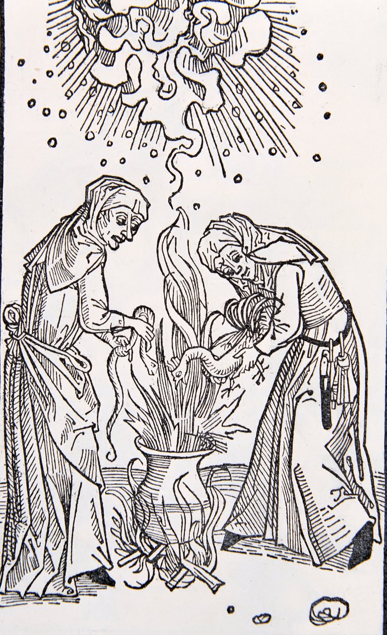 Vertrag der bösen Frauen genannt Hexen von Garcia Pelayo