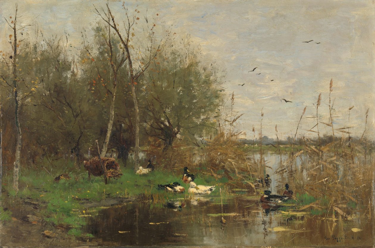Enten neben einem Entenhaus an einem Graben von Geo Poggenbeek