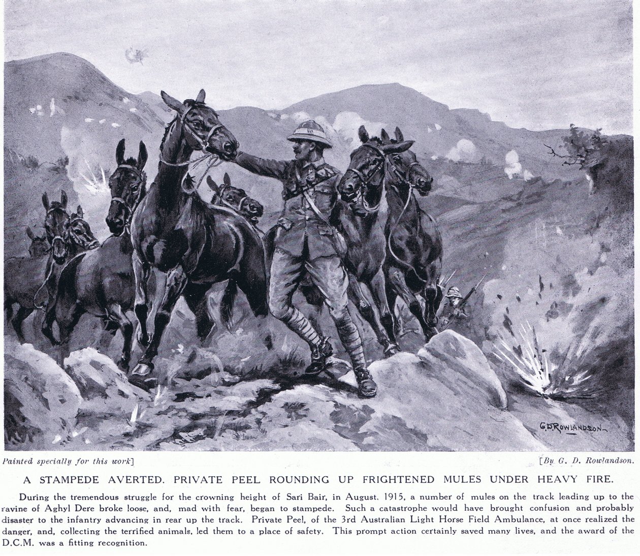 Stampede verhindert Private Peel treibt verängstigte Maultiere in Sari Bair August 1915 zusammen von George Derville Rowlandson