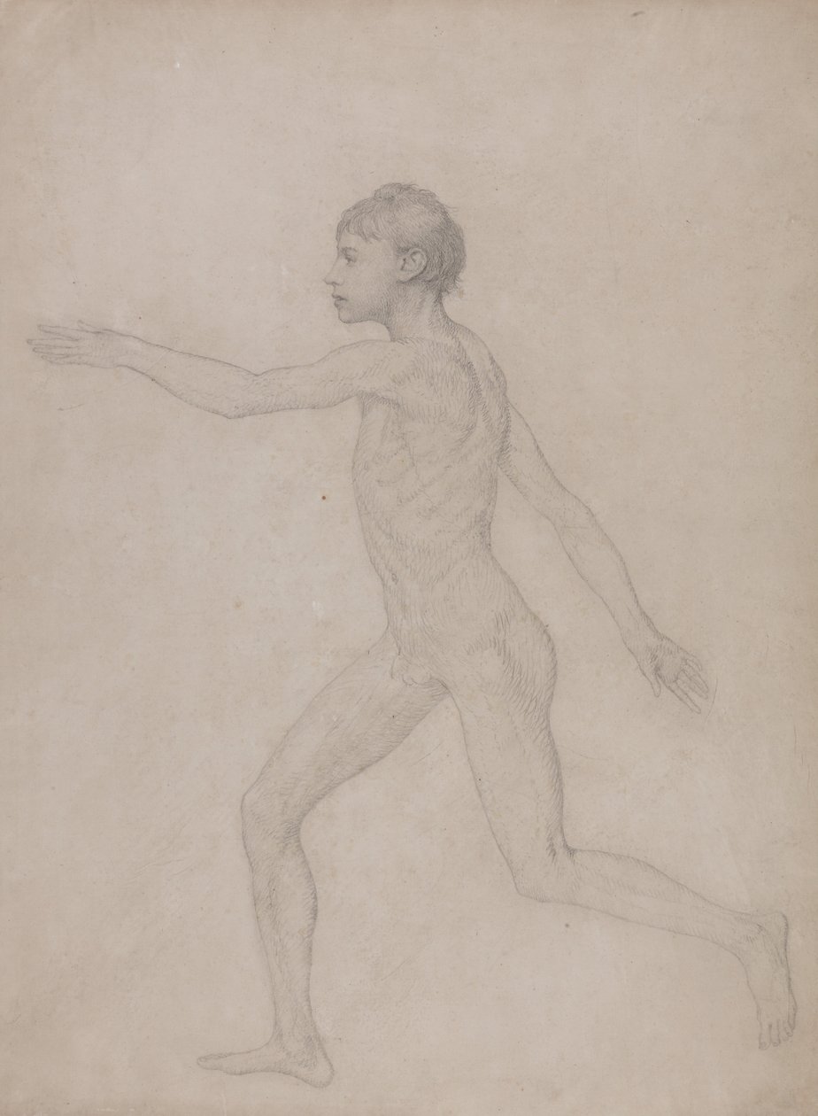 Vergleichende anatomische Darstellung der Struktur des menschlichen Körpers mit der eines Tigers und einer Kuh von George Stubbs