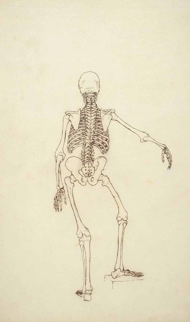 Studie der menschlichen Figur, hintere Ansicht, aus 