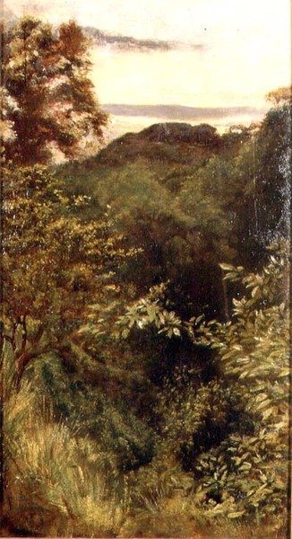Das Glen, Naworth, Cumbria von George 9th Earl of Carlisle Howard