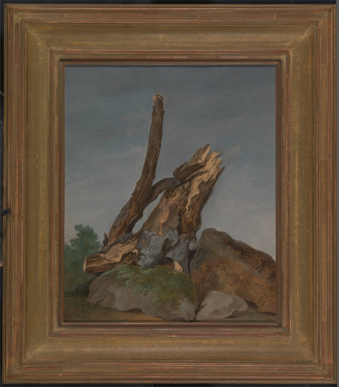 Studie von Felsen und Ästen von George Augustus Wallis