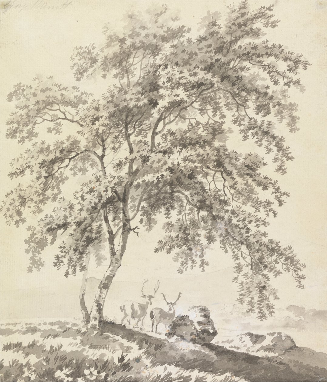 Baumstudie mit Hirschen (Landschaft) von George Barret