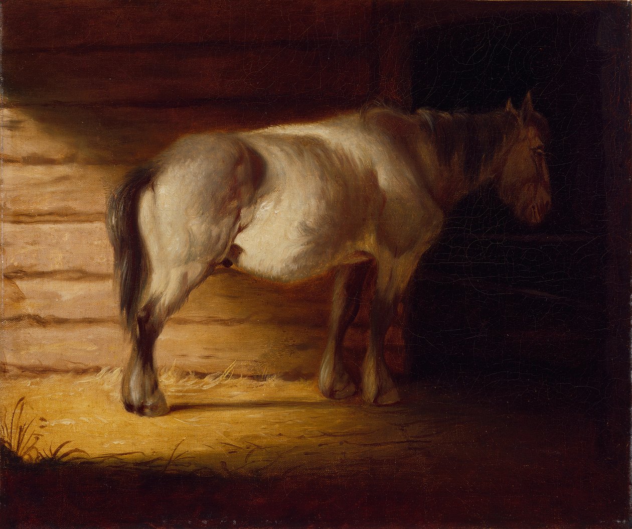 Old Field Horse, vor 1856 von George Caleb Bingham