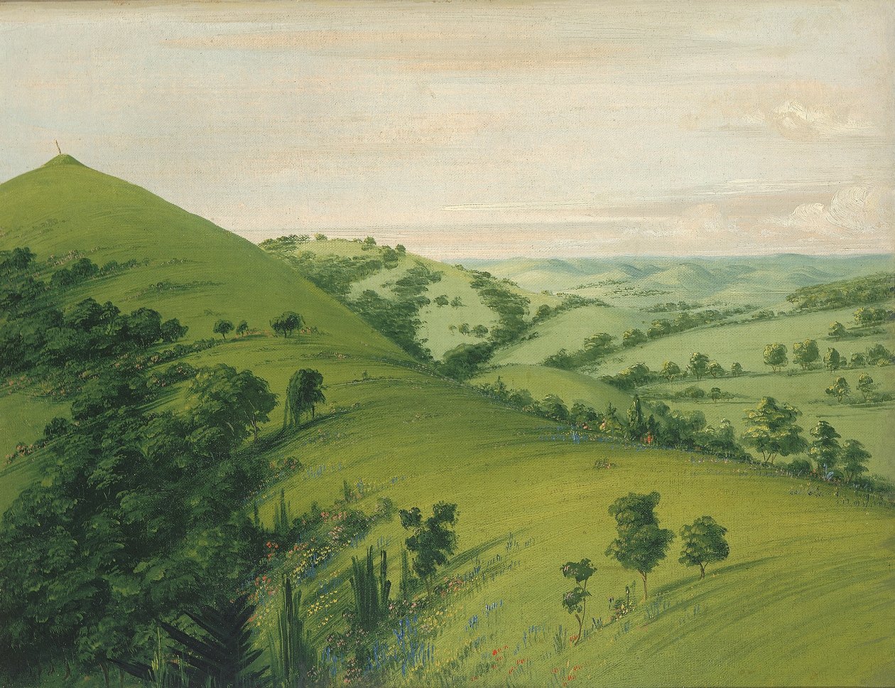 Grab des Amsels, Rückansicht, Prärien mit Blumen emailliert von George Catlin