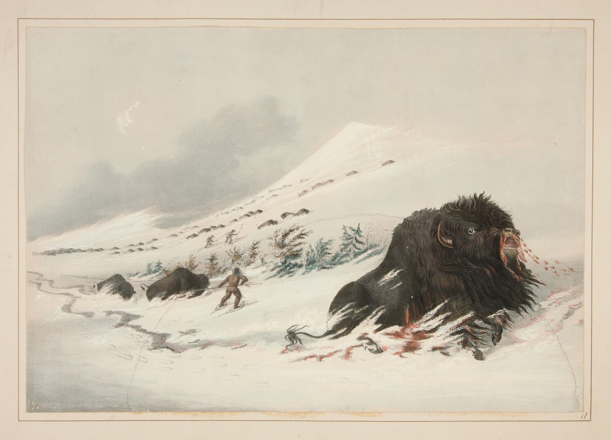 Sterbender Büffelbulle im Schneeverwehung, Pl. 17 aus dem Nordamerikanischen Indianer-Portfolio von George Catlin