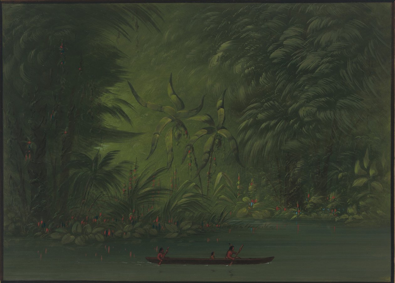 Eingang zu einer Lagune, Ufer des Amazonas von George Catlin