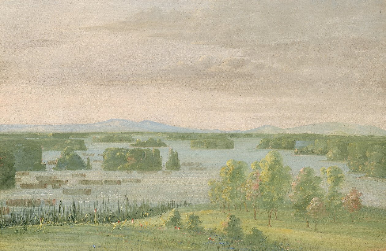 Schwanensee (Lac du Cygne), nahe dem Coteau des Prairies von George Catlin