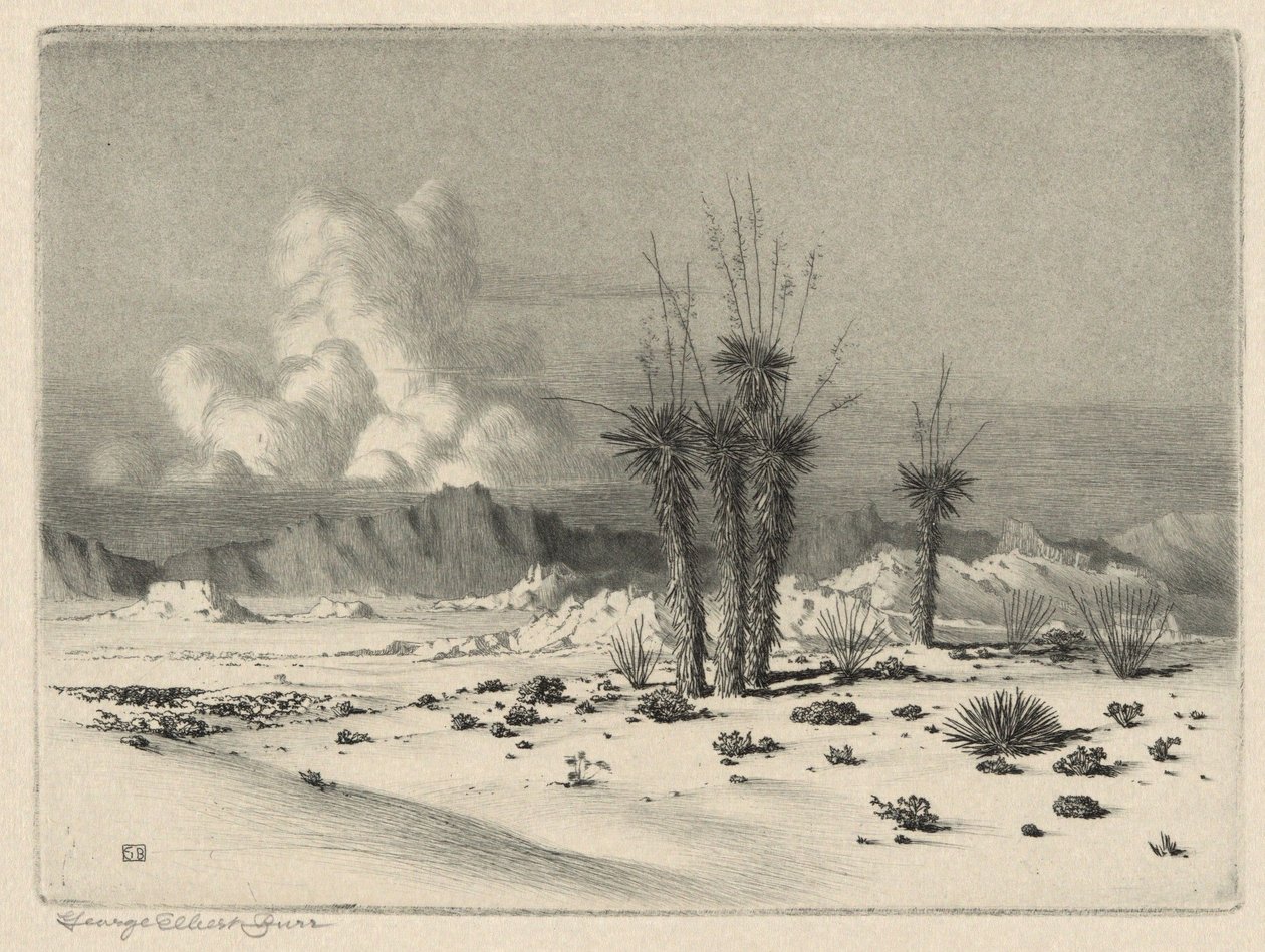 Abend, Arizona von George Elbert Burr