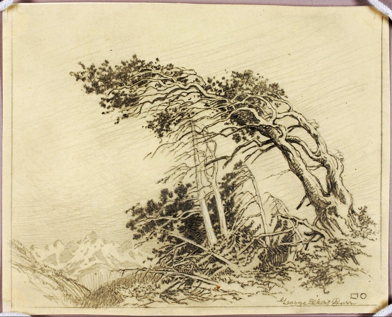 Ohne Titel (Transferzeichnung für Das Heim der Winde [Nr. 1]) von George Elbert Burr