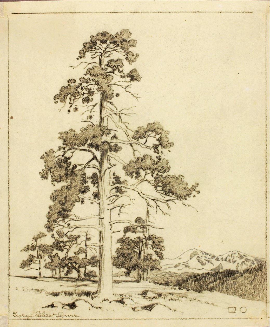 Ohne Titel (Übertragungszeichnung für einen Druck) von George Elbert Burr