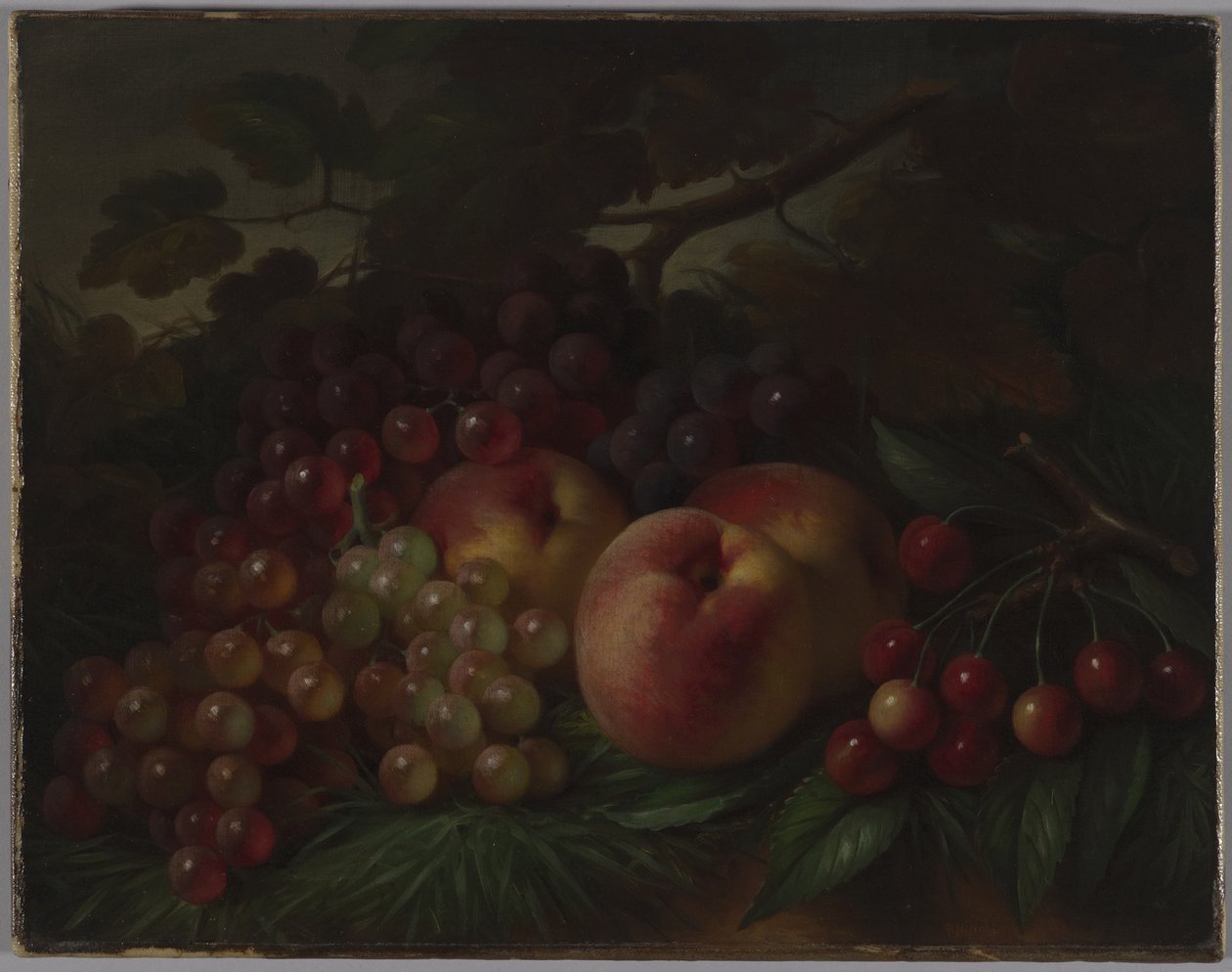 Pfirsiche, Trauben und Kirschen, ca. 1860-70 von George Henry Hall