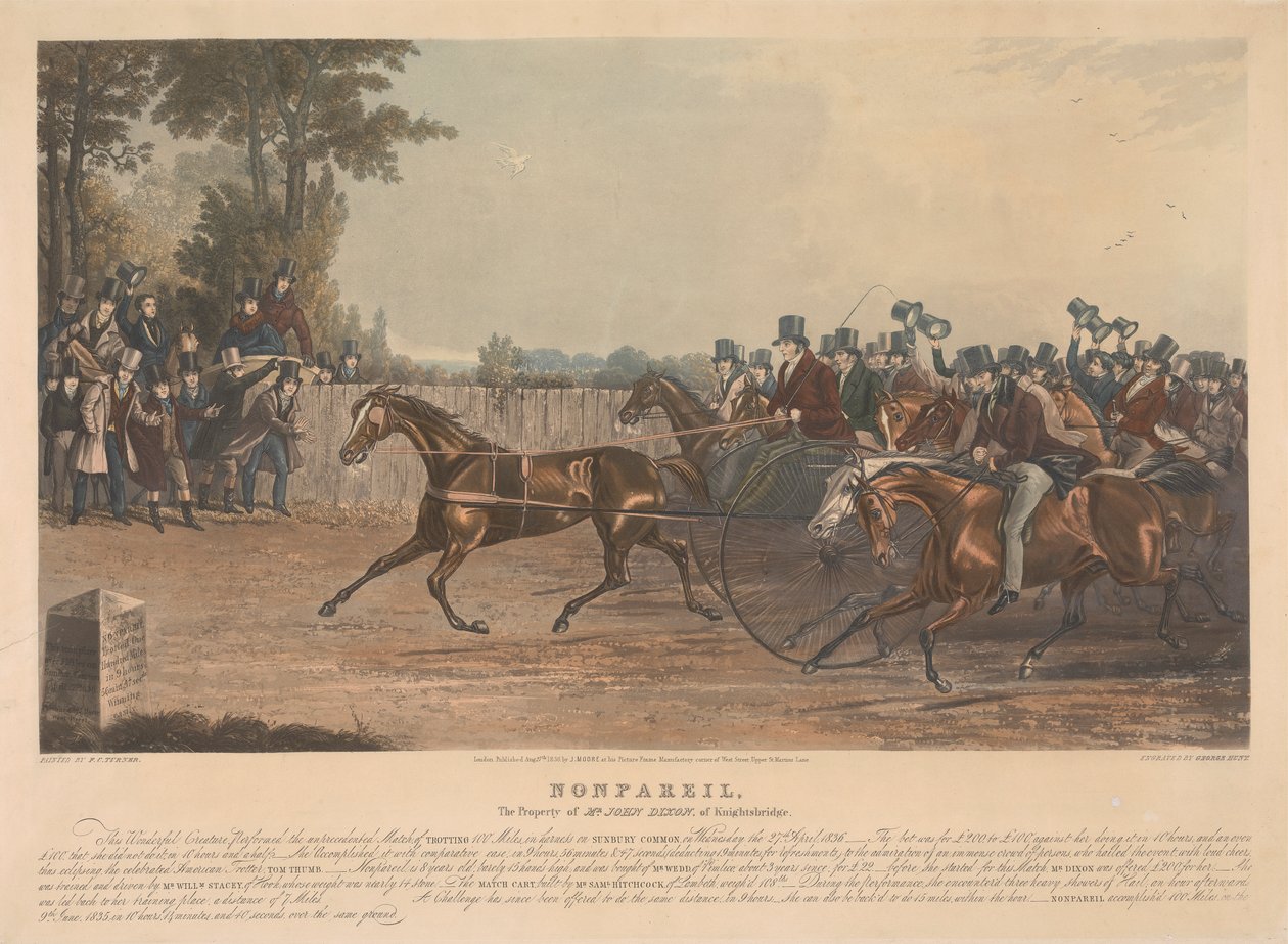 "Nonpareil" / Das Eigentum von Mr. John Dixon aus Knightsbridge / Dieses wunderbare Geschöpf führte das beispiellose Rennen durch, 100 Meilen im Geschirr auf Sunbury Common am Mittwoch, den 27. April 1836... von George Hunt