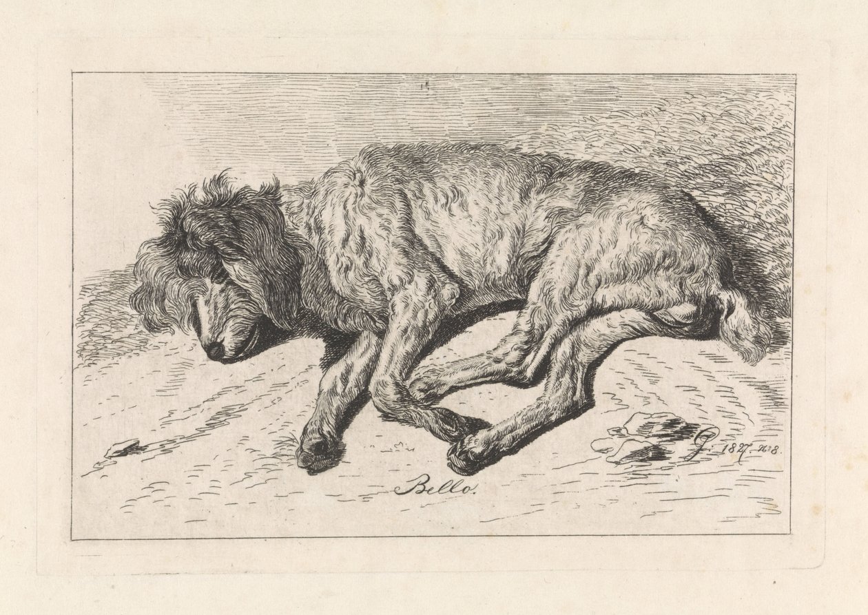 Schlafender Hund von George Jooss
