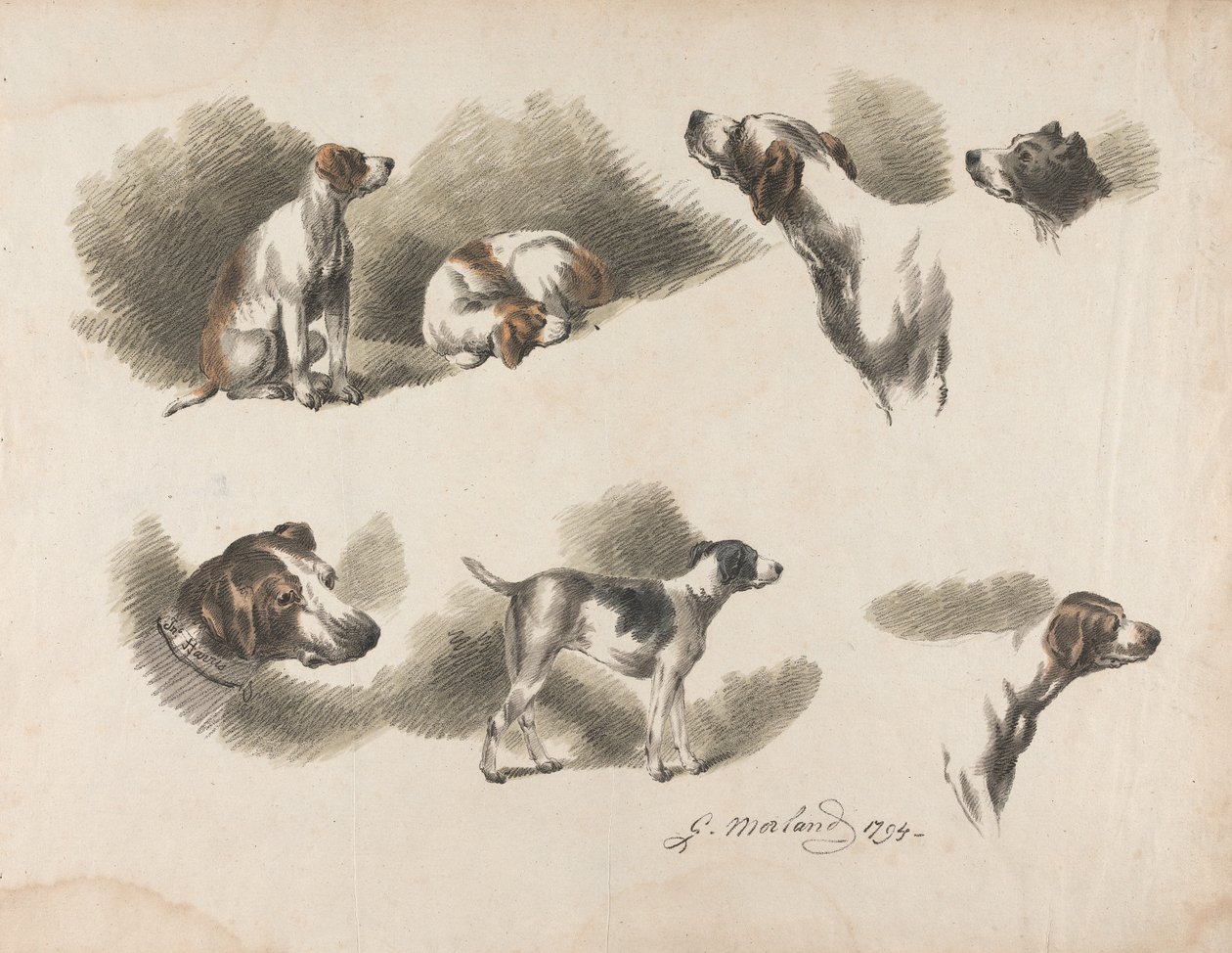 [Tiere] Sieben Studien eines Jagdhundes auf einem Blatt. „Jno. Harris“ auf dem Halsband des Jagdhundes unten links von George Morland