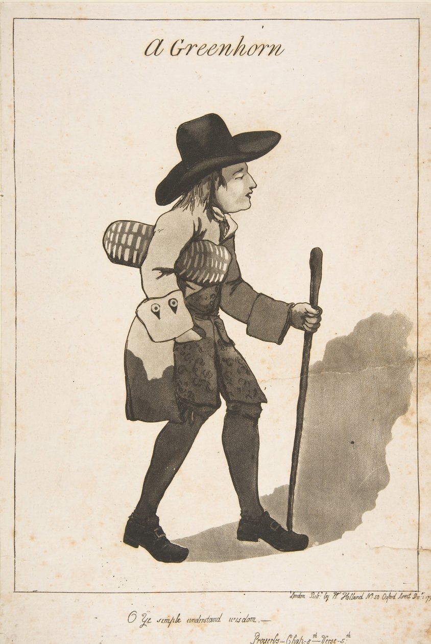 Ein Grünschnabel, 1. Dezember 1790 von George Moutard Woodward