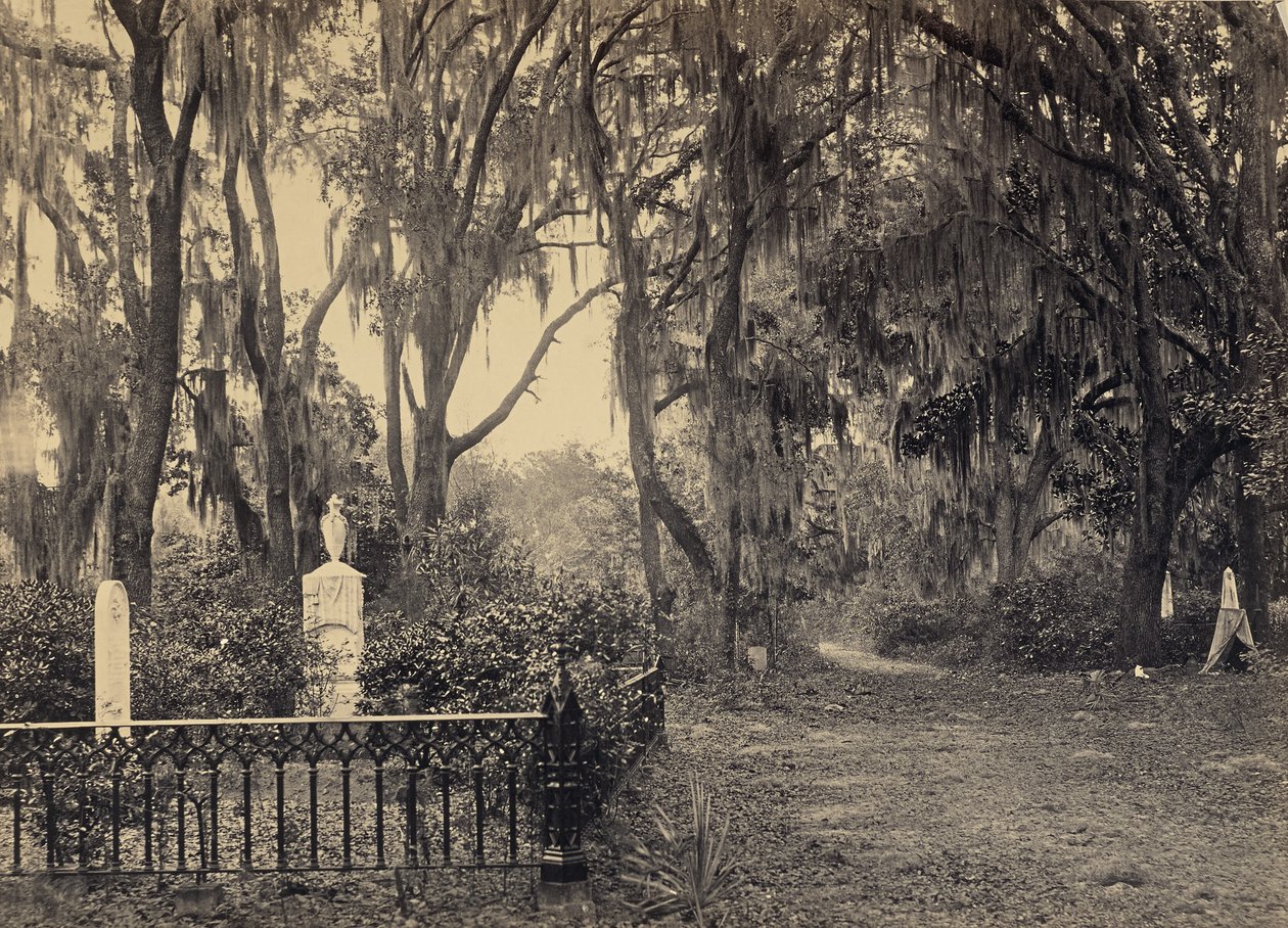 [Buen-Ventura Savannah, Georgia] von George N. Barnard