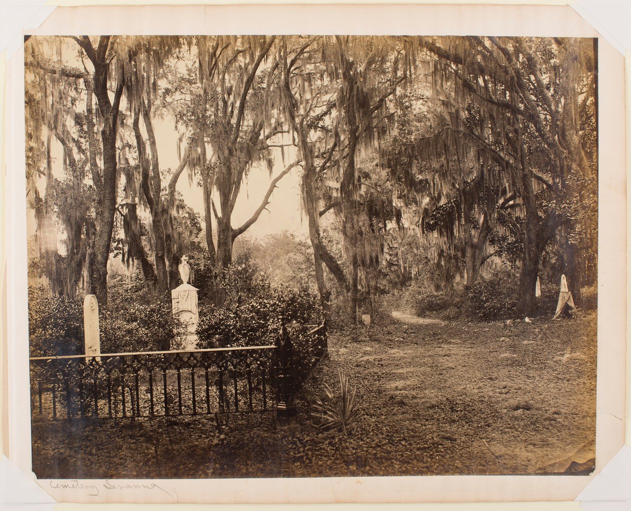 Buen-Ventura, Savannah, Georgia von George N. Barnard