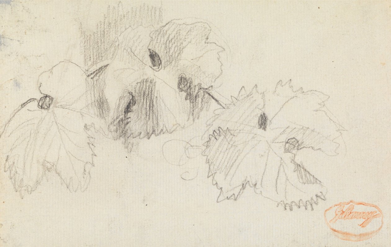 Studie von Blättern 1 von George Romney