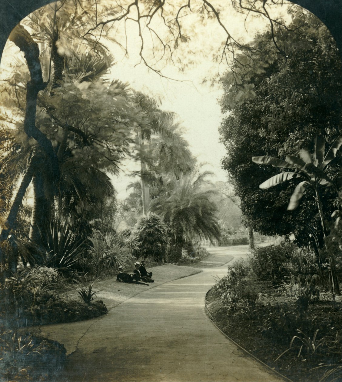 Weg im Queens Park, Brisbane, Australien, ca. 1909 von George Rose