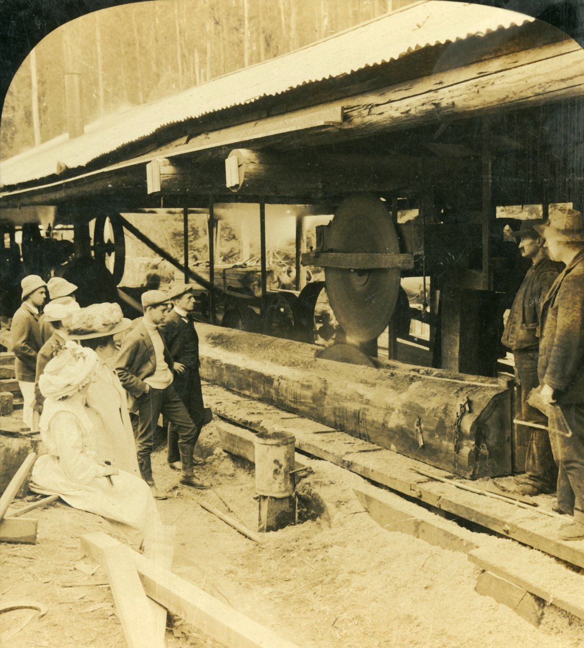 Die Holzindustrie, Warburton, Victoria, Australien, 1909 von George Rose