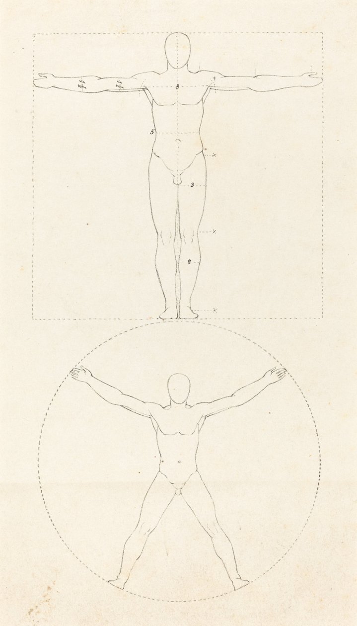 Kreis und Quadrat der menschlichen Figur von George Scharf after John Flaxman