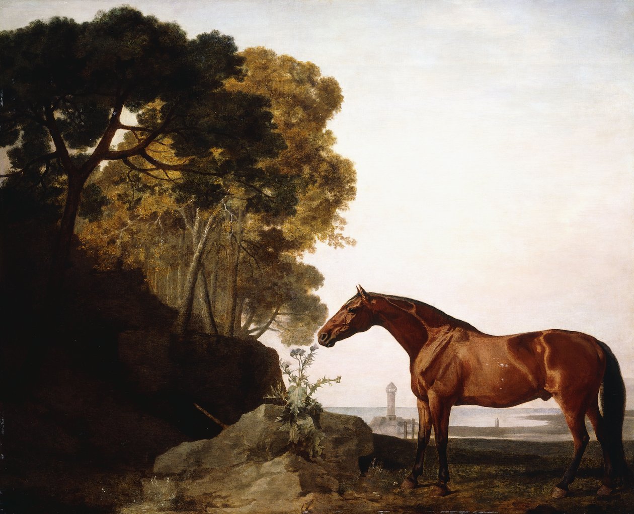 Ein Araber in einer Küstenlandschaft, 1779 von George Stubbs