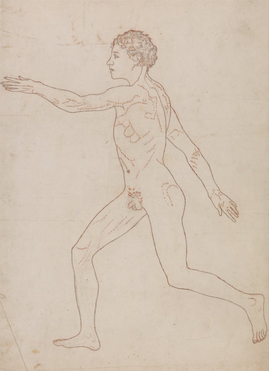 Vergleichende anatomische Darstellung der Struktur des menschlichen Körpers mit der eines Tigers und eines gewöhnlichen Huhns: Menschliche Figur, Seitenansicht (Umrissstudie) von George Stubbs