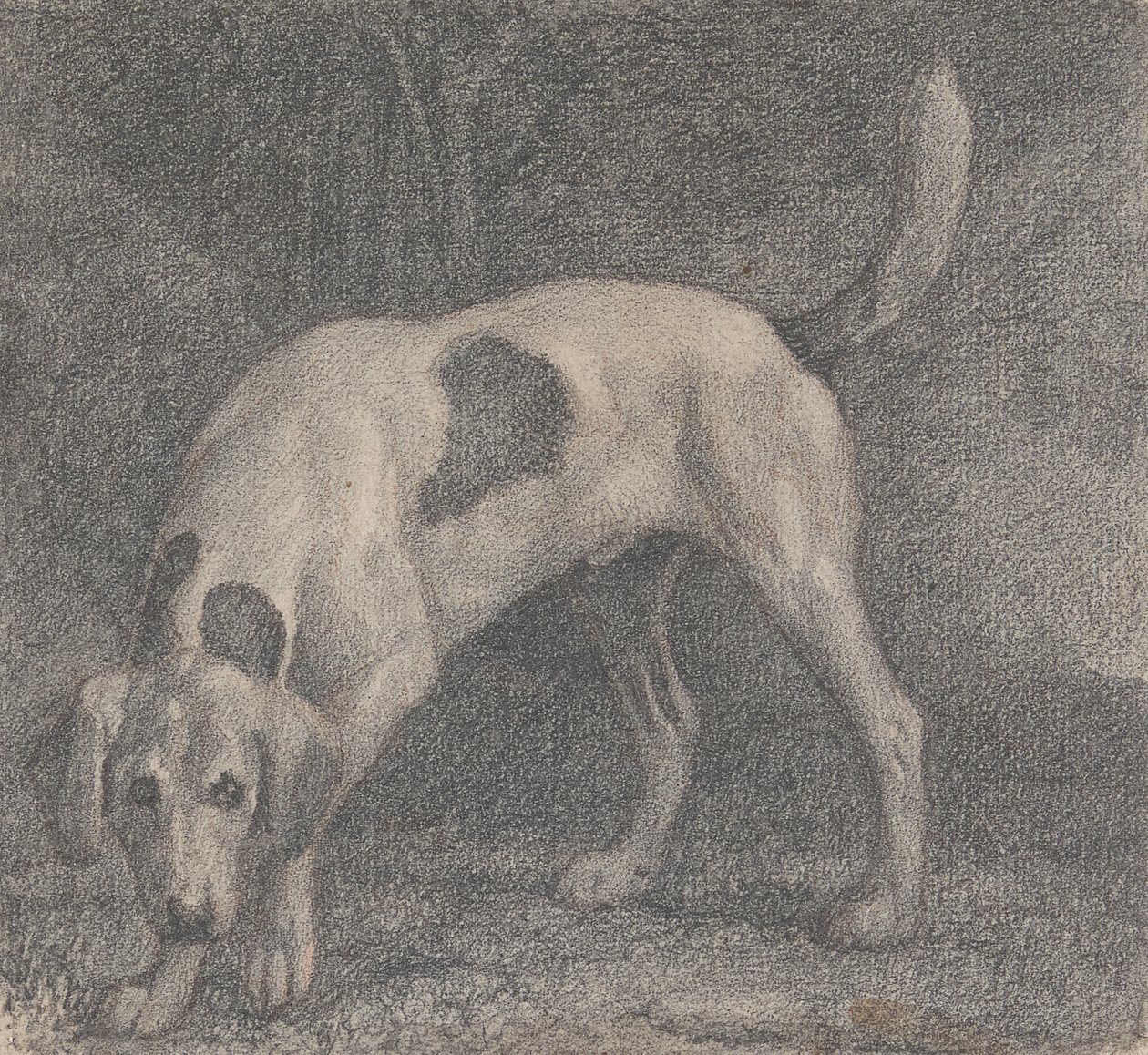 Ein Fuchshund auf der Fährte von George Stubbs
