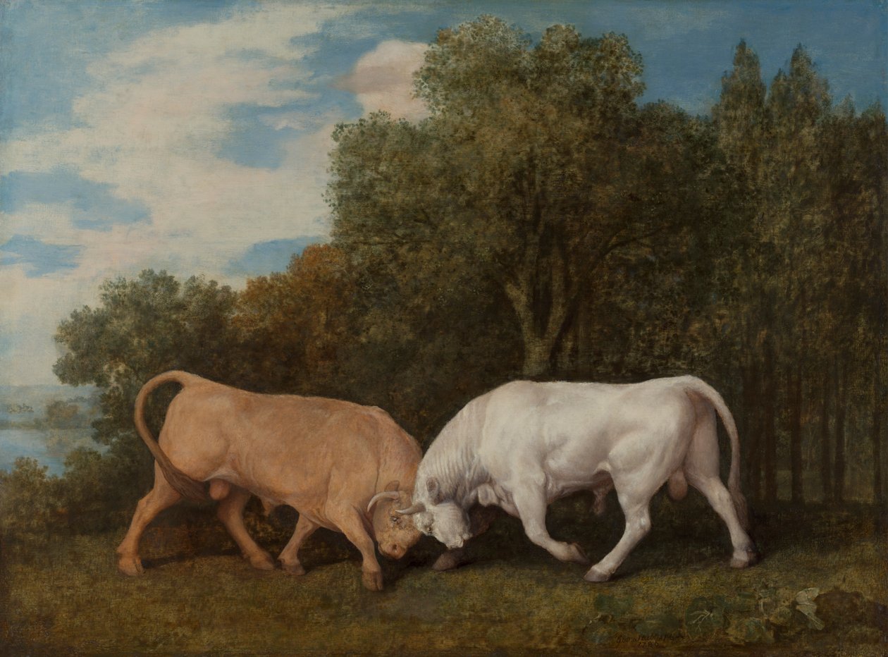 Kämpfende Stiere von George Stubbs