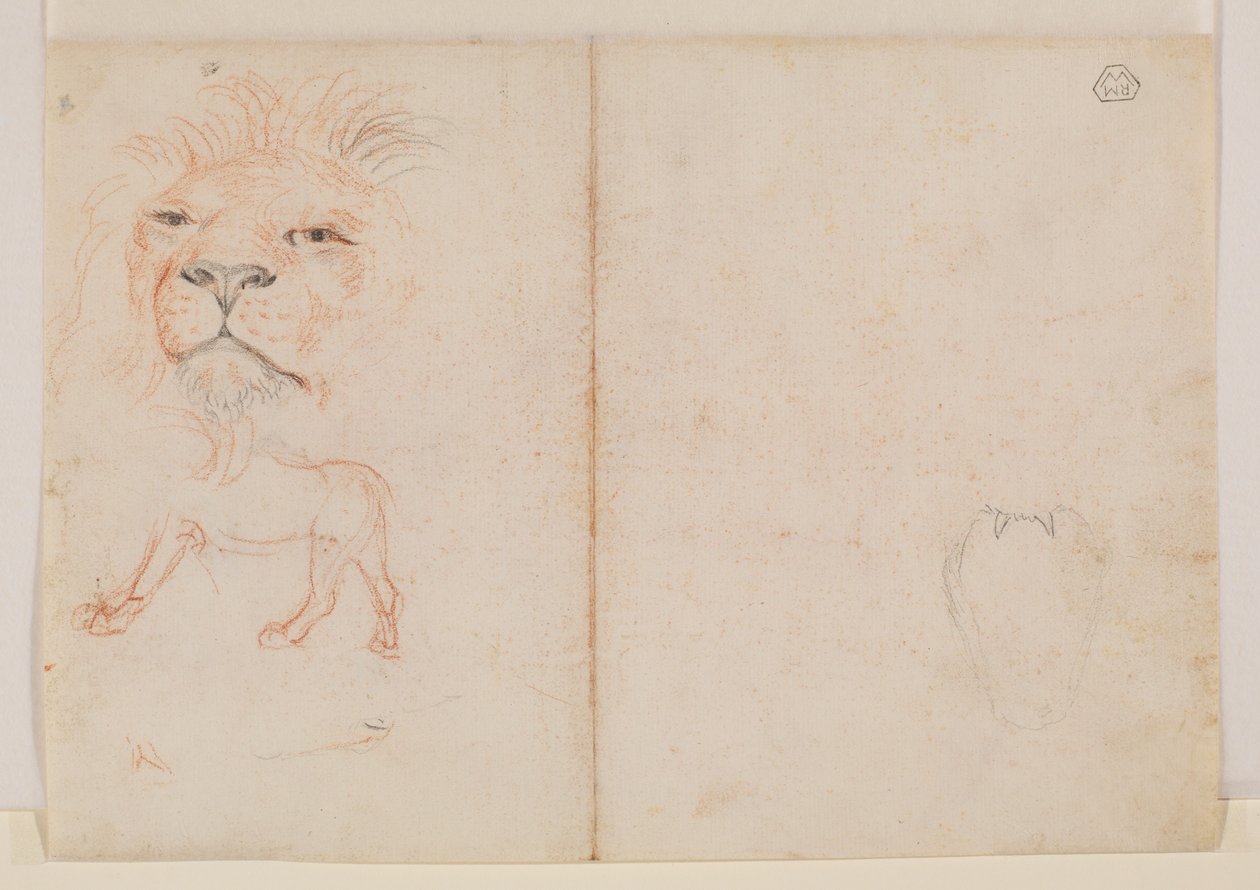 Löwenkopf, verso, 18. oder 19. Jahrhundert von George Stubbs